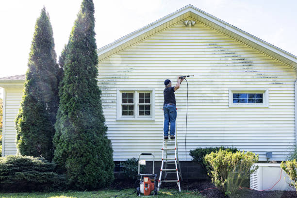 Best Driveway Pressure Washing  in Dorneyville, PA